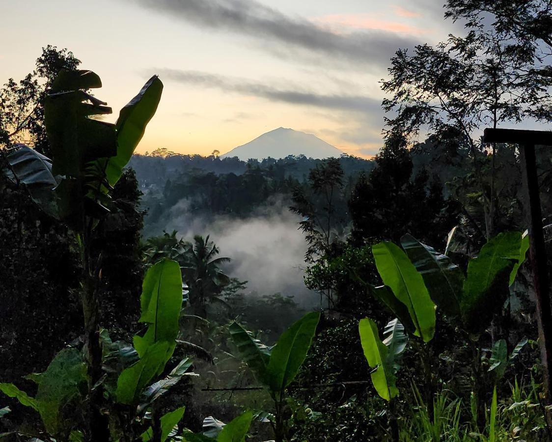 Delta Casa Ubud-Cozy Tropical Villas With Volcano View Gianyar (Bali) Luaran gambar