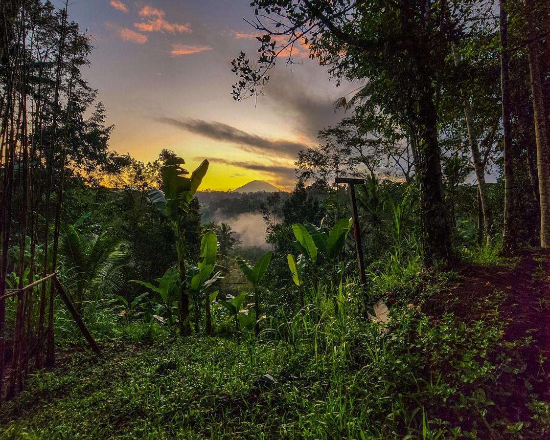 Delta Casa Ubud-Cozy Tropical Villas With Volcano View Gianyar (Bali) Luaran gambar