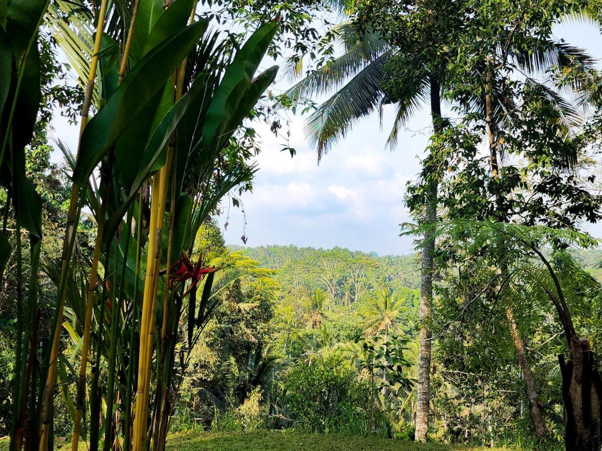 Delta Casa Ubud-Cozy Tropical Villas With Volcano View Gianyar (Bali) Luaran gambar