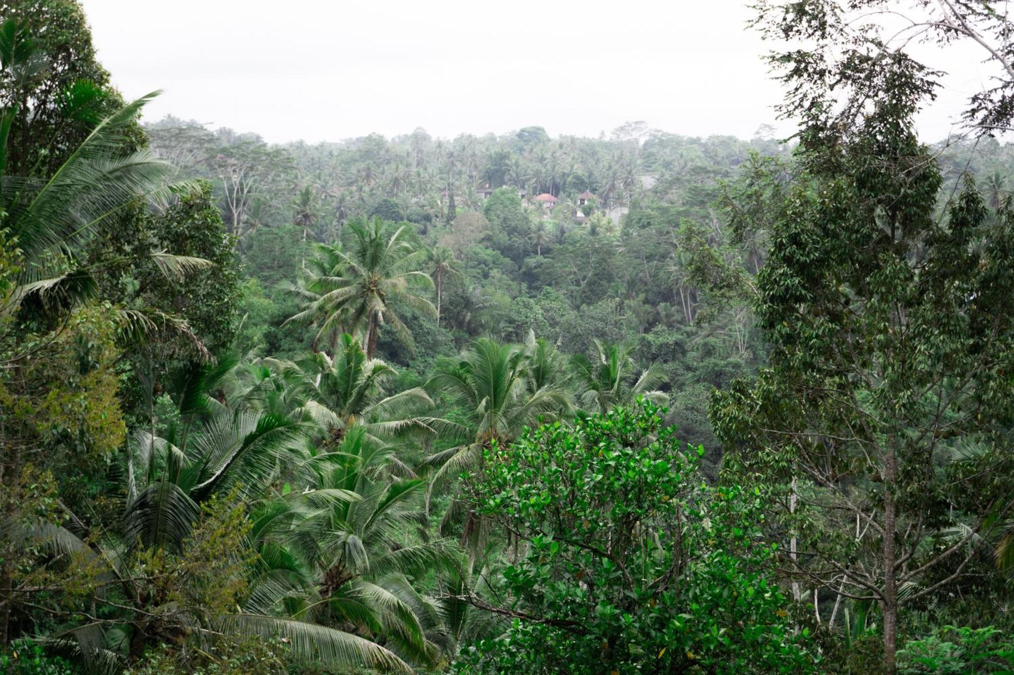 Delta Casa Ubud-Cozy Tropical Villas With Volcano View Gianyar (Bali) Luaran gambar