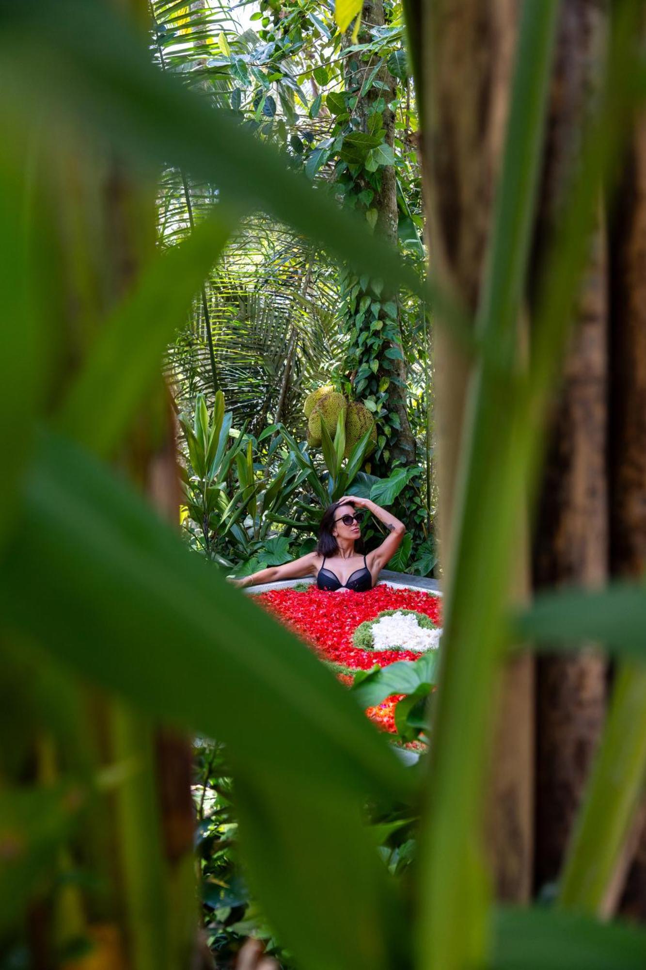 Delta Casa Ubud-Cozy Tropical Villas With Volcano View Gianyar (Bali) Luaran gambar