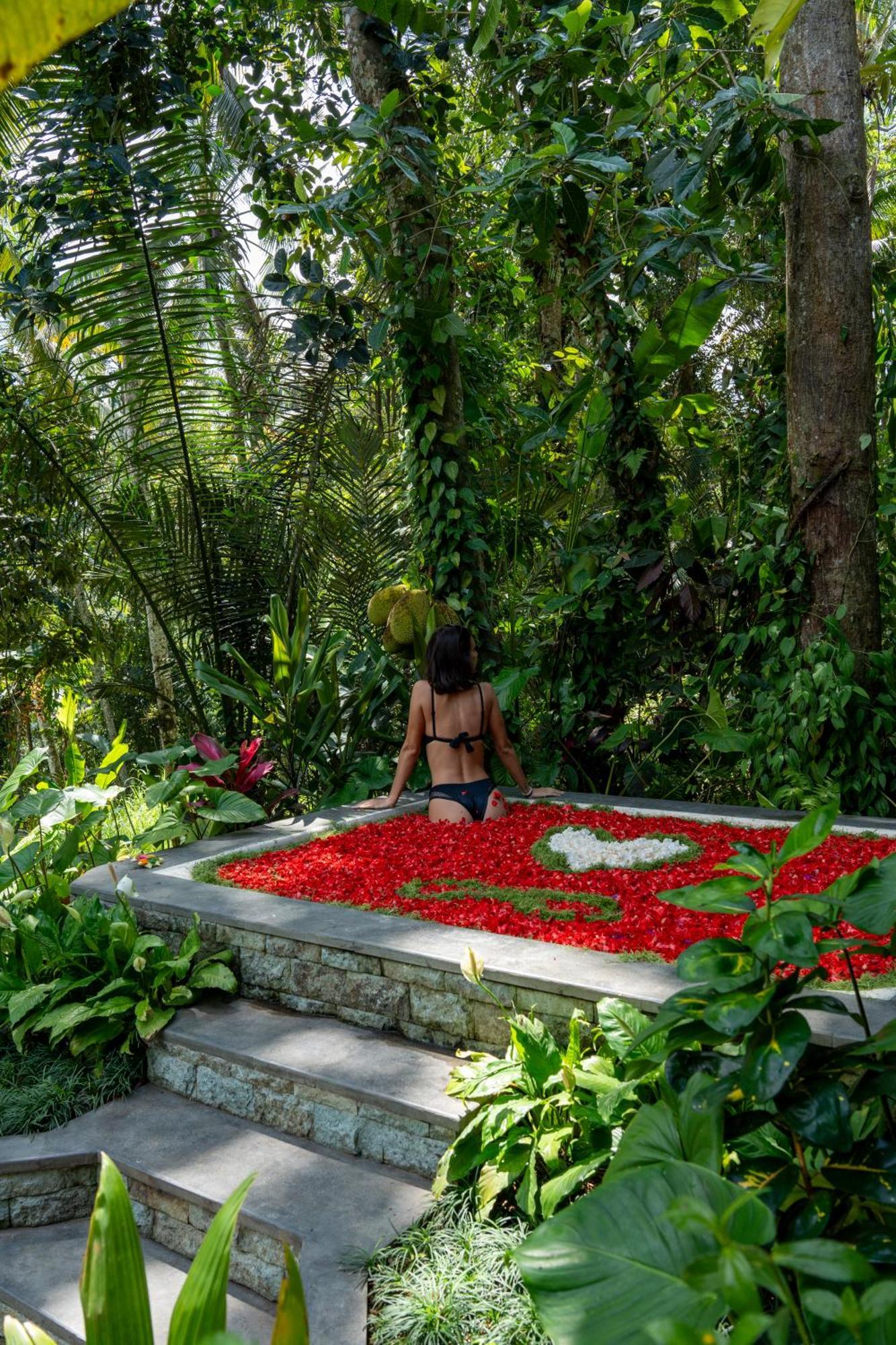 Delta Casa Ubud-Cozy Tropical Villas With Volcano View Gianyar (Bali) Luaran gambar